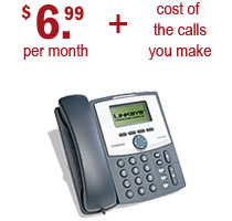 business voip pricing